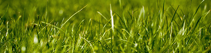Mowing the Lawn