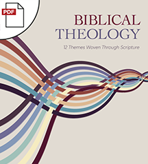 Teacher's Manual - Digital