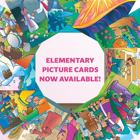 Elementary Picture Cards Now Available!